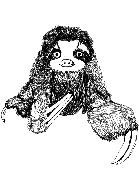Sloth 